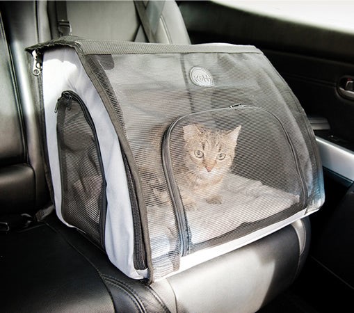 choosing-the-right-carrier-for-a-cat-during-travel